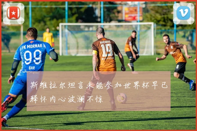 斯维拉尔坦言未能参加世界杯早已释怀内心波澜不惊